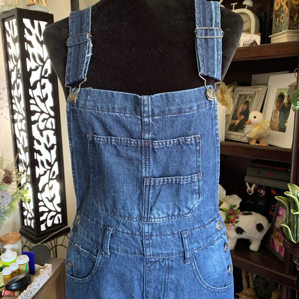 Free People Ziggy Denim Overalls